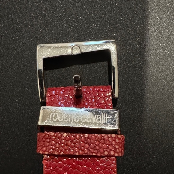 Roberto Cavalli Red and Silver Watch main image 8